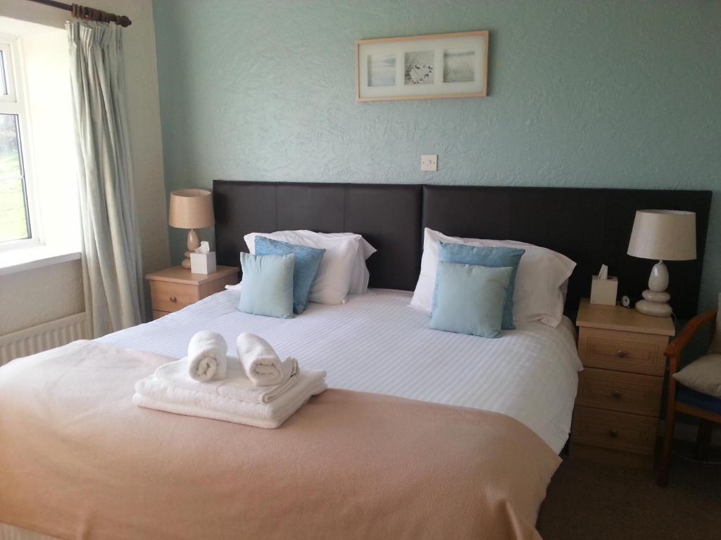 Ty Dderw Country Inn Моілфре Номер фото